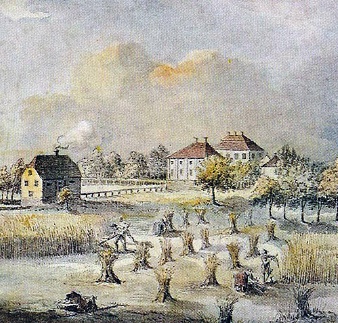Tidiga Hus